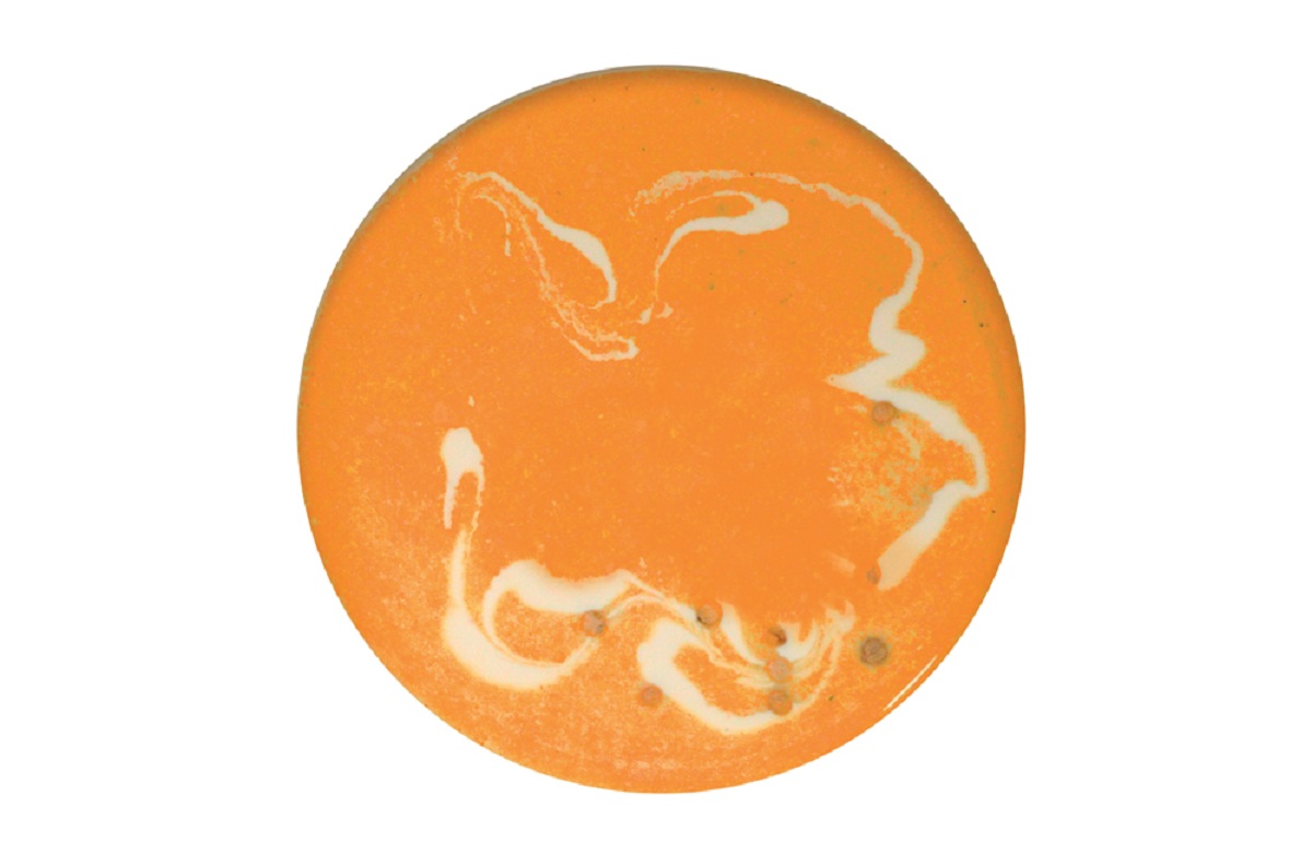 Édesburgonya krémleves